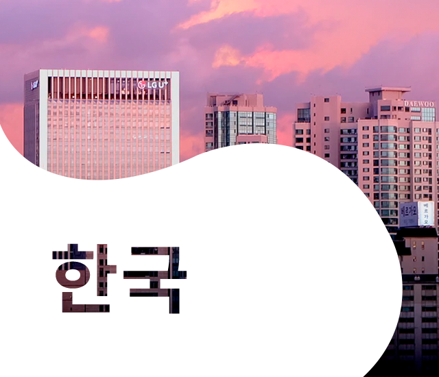 한국 디지털 마케팅 | 디에그 코리아